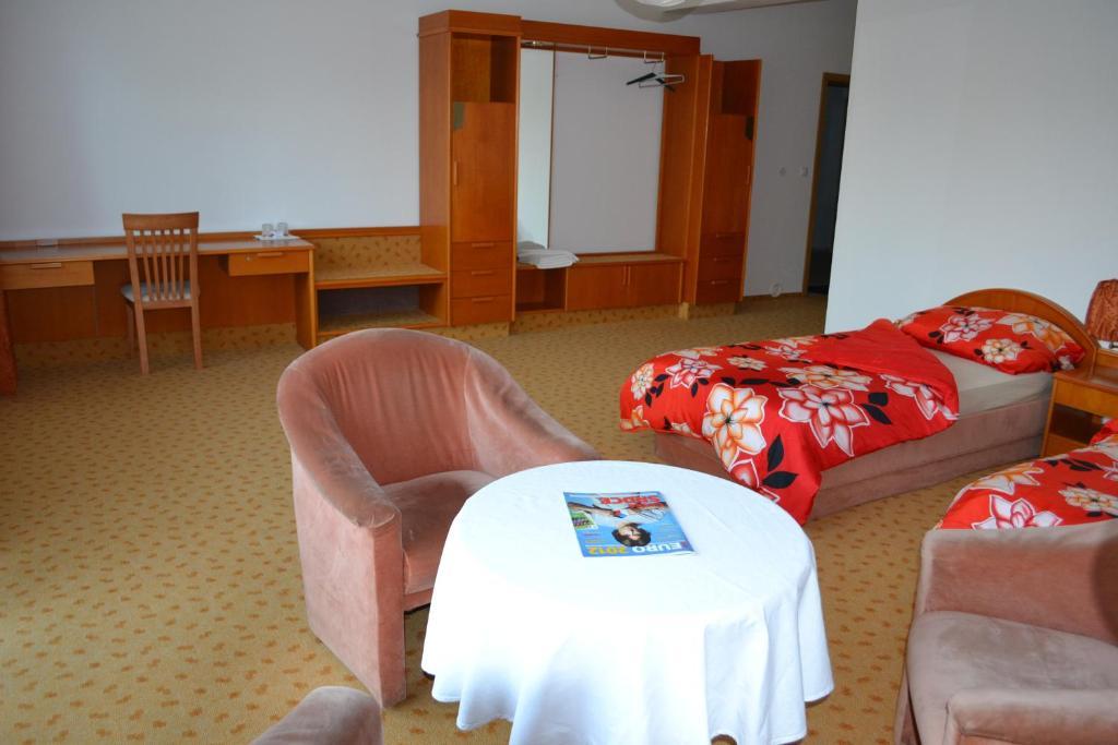 Levandule Brno Room photo